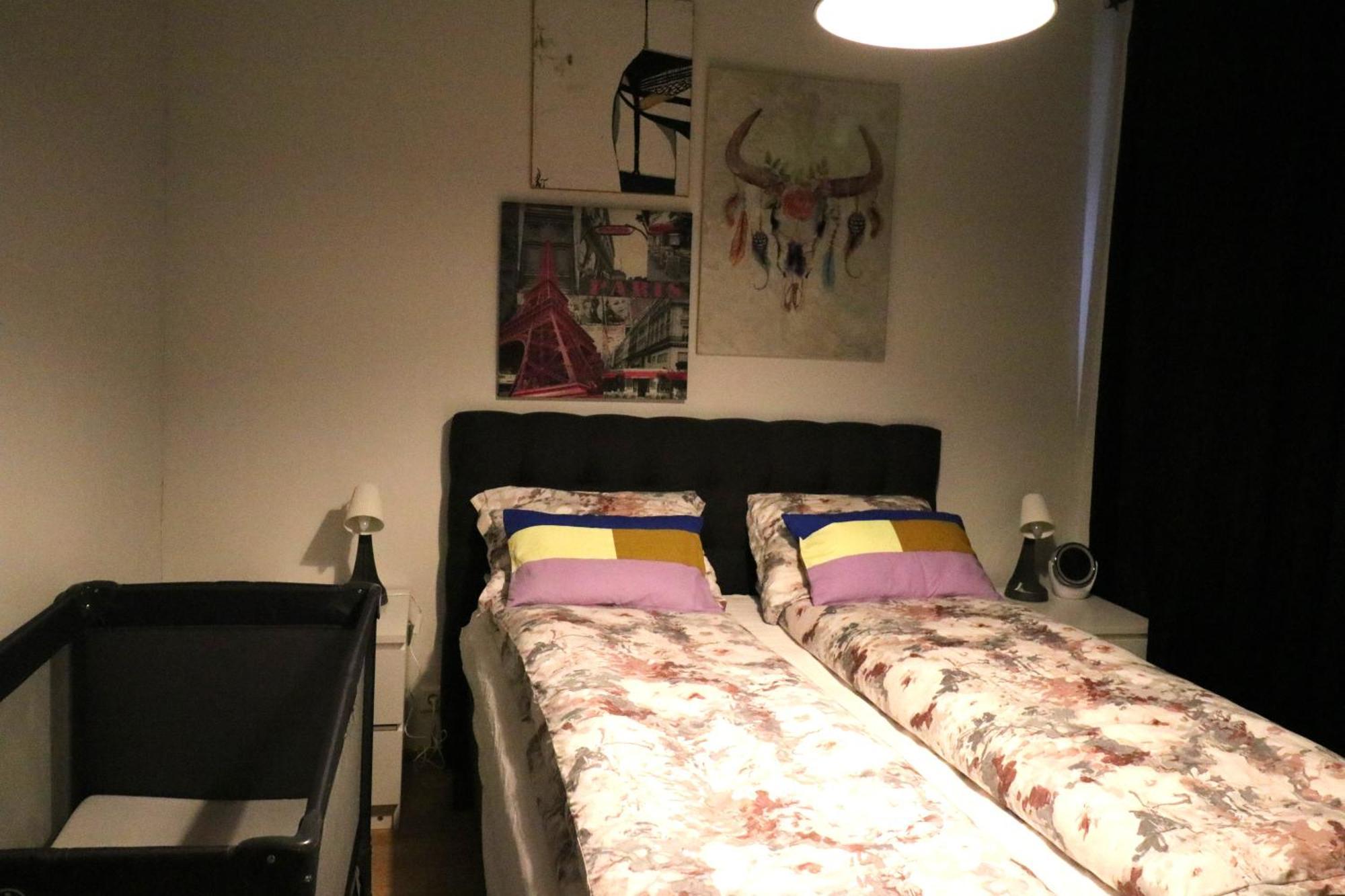 Reykjavik Antique Rentals Eksteriør billede